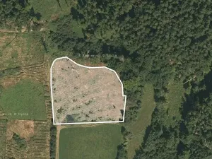 Prodej lesa, Mohelnice, 9122 m2