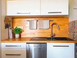 Prodej vícegeneračního domu, Brno, Otakara Ševčíka, 190 m2