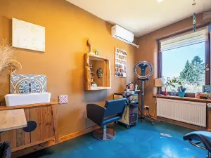 Prodej vícegeneračního domu, Brno, Otakara Ševčíka, 190 m2