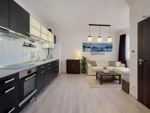 Prodej bytu 1+kk, Brno, Křenová, 32 m2