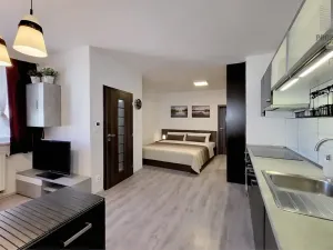 Prodej bytu 1+kk, Brno, Křenová, 32 m2