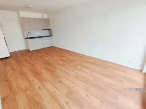 Pronájem bytu 1+kk, Praha - Vysočany, Kabešova, 44 m2