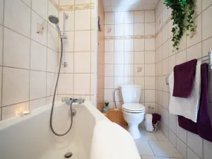 Pronájem bytu 2+1, Most, Jaroslava Vrchlického, 55 m2