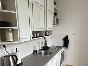 Pronájem bytu 3+1, Opava - Předměstí, Olomoucká, 65 m2