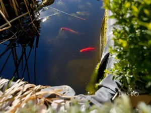 Prodej rodinného domu, Velké Březno, Pod Vartou, 148 m2