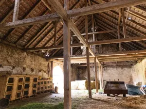 Prodej komerční, Potštejn - Brná, 23296 m2