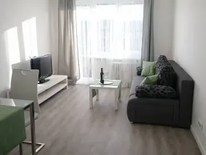 Pronájem bytu 2+kk, Praha - Žižkov, Pod lipami, 54 m2