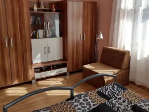 Pronájem bytu 2+kk, Praha, Na Malovance, 42 m2