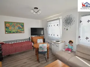 Prodej bytu 2+1, Teplice, Gagarinova, 52 m2