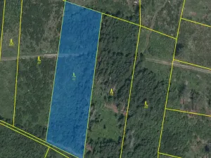 Prodej lesa, Kolinec - Buršice, 5195 m2