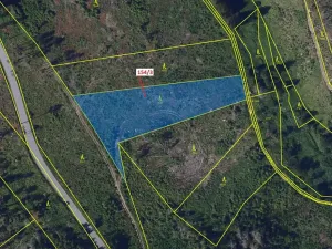 Dražba lesa, Žižkovo Pole, 5060 m2