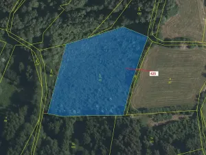 Dražba lesa, Strmilov, 7499 m2