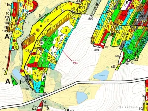 Dražba lesa, Strmilov, 9243 m2
