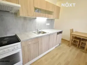 Pronájem bytu 3+1, Brno, Jílová, 55 m2