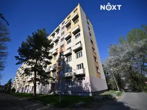 Pronájem bytu 3+1, Brno, Jílová, 55 m2