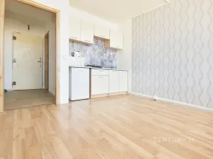 Prodej bytu 1+kk, Litvínov, Mostecká, 24 m2