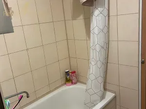 Prodej bytu 1+1, Frýdek-Místek, Beethovenova, 35 m2