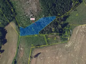 Dražba lesa, Žižkovo Pole, 1408 m2