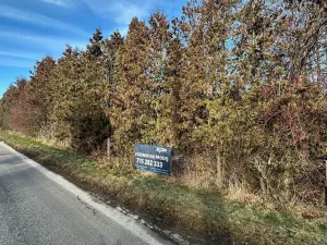 Prodej pozemku pro bydlení, Chotilsko, 2807 m2