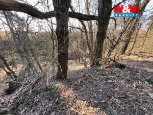 Prodej pozemku pro bydlení, Škvorec, Na Pazderně, 3136 m2