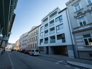 Pronájem bytu 1+kk, České Budějovice, Štítného, 27 m2