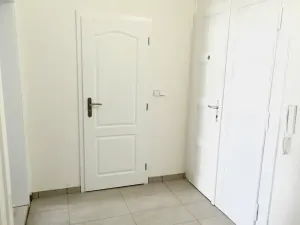 Pronájem bytu 2+kk, Praha - Žižkov, Fibichova, 60 m2