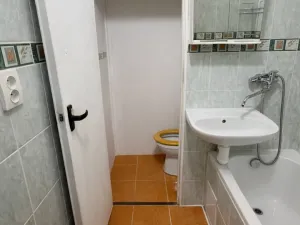 Pronájem bytu 1+kk, Ostrava, U Parku, 27 m2