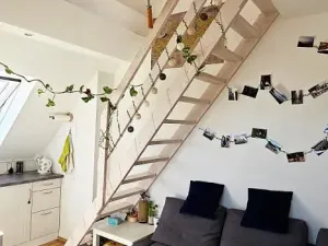 Pronájem bytu 2+kk, Brno - Černovice, Řehořova, 26 m2