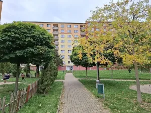 Pronájem bytu 1+1, Chomutov, Školní pěšina, 37 m2