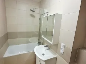 Pronájem bytu 1+kk, Praha - Vinohrady, Máchova, 29 m2