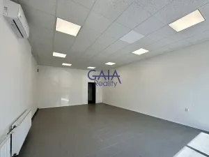 Pronájem obchodního prostoru, Kyjov, třída Komenského, 66 m2