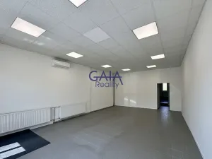 Pronájem obchodního prostoru, Kyjov, třída Komenského, 66 m2