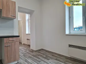 Pronájem bytu 1+1, Ostrava, 39 m2