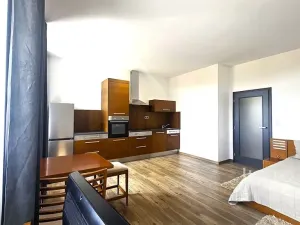 Pronájem bytu 1+kk, Písek, Vladislavova, 40 m2