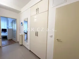 Pronájem bytu 1+kk, Praha - Nové Město, Truhlářská, 32 m2