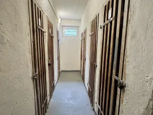 Prodej bytu 2+1, Praha - Vinohrady, Nad Primaskou, 60 m2