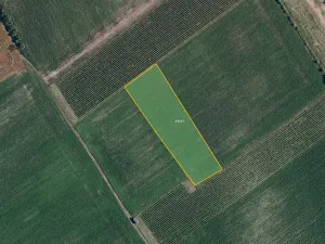 Prodej pole, Nový Poddvorov, 6317 m2