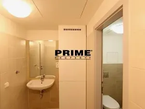 Pronájem bytu 5+1, Praha - Smíchov, Štefánikova, 168 m2