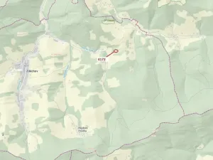 Dražba lesa, Zděchov, 216 m2