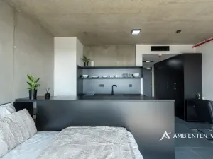 Pronájem bytu 1+kk, Brno, Královopolská, 35 m2