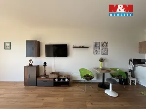 Pronájem bytu 1+kk, Brandýs nad Labem-Stará Boleslav - Brandýs nad Labem, Dřevčická, 46 m2