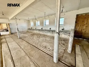 Prodej zemědělského objektu, Kožlany, Na Mazancích, 200 m2