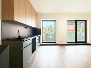 Pronájem bytu 3+kk, Most, Bří Čapků, 68 m2