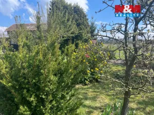 Prodej zahrady, Měrunice, 427 m2