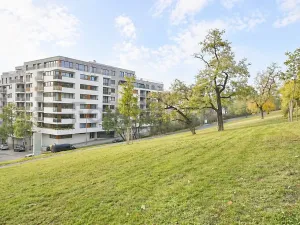 Pronájem bytu 2+kk, Praha - Žižkov, Kališnická, 57 m2