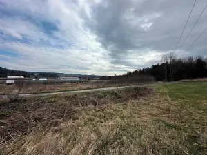 Prodej komerční nemovitosti, Jedlová, 1346 m2