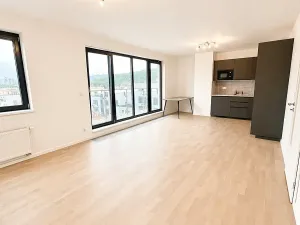 Pronájem bytu 3+kk, Praha - Košíře, Tůmova, 105 m2