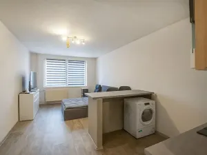 Prodej bytu 1+kk, České Budějovice, K. Chocholy, 30 m2