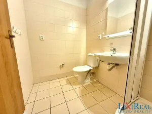 Pronájem bytu 1+1, Praha - Nusle, Bělehradská, 33 m2