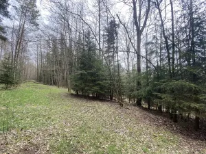 Prodej pozemku, Volfířov - Brandlín, 5958 m2